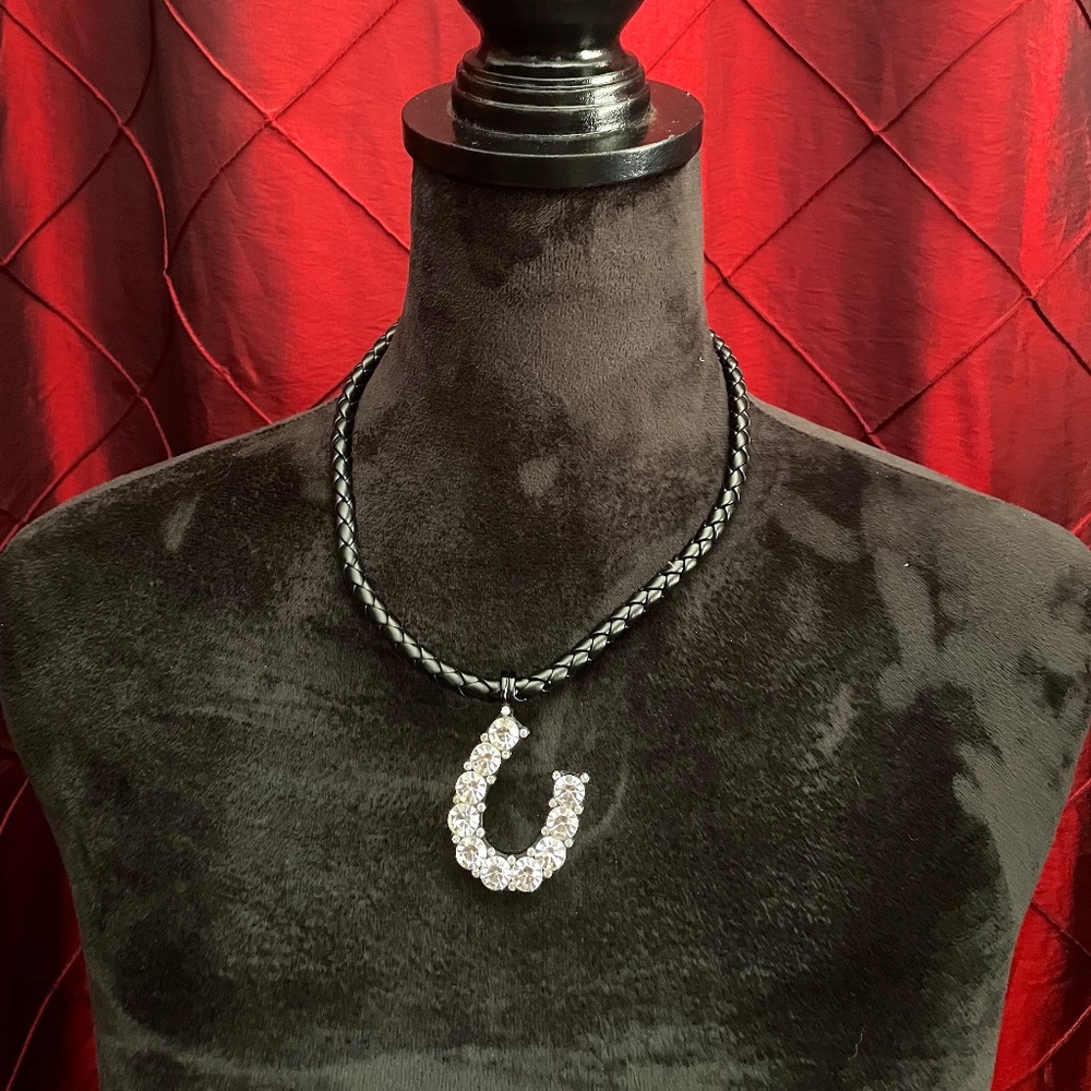 Horseshoe Shaped Necklace